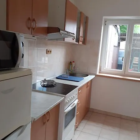 Apartman V Rapotine